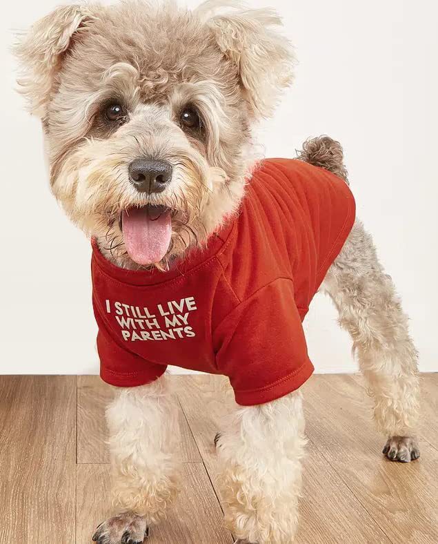 Dress Your Pet in Style with Our Round Neck Pet T Shirt!