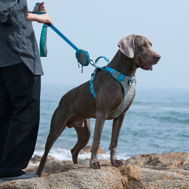 Experience Ultimate Comfort and Convenience with Our Heavy Duty Pet Chest Harness