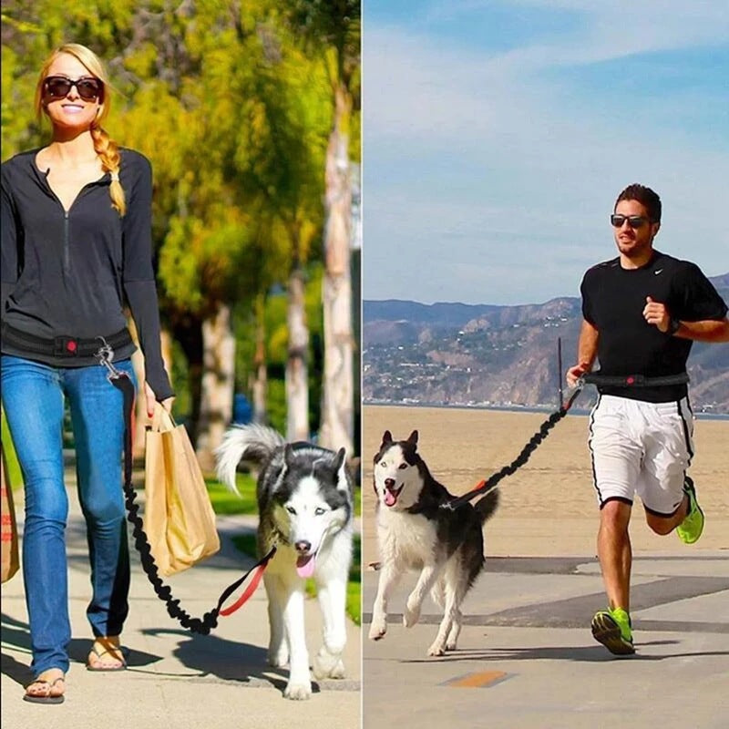 c67e80c2053eebc7ad9f2b77ec7cc129
