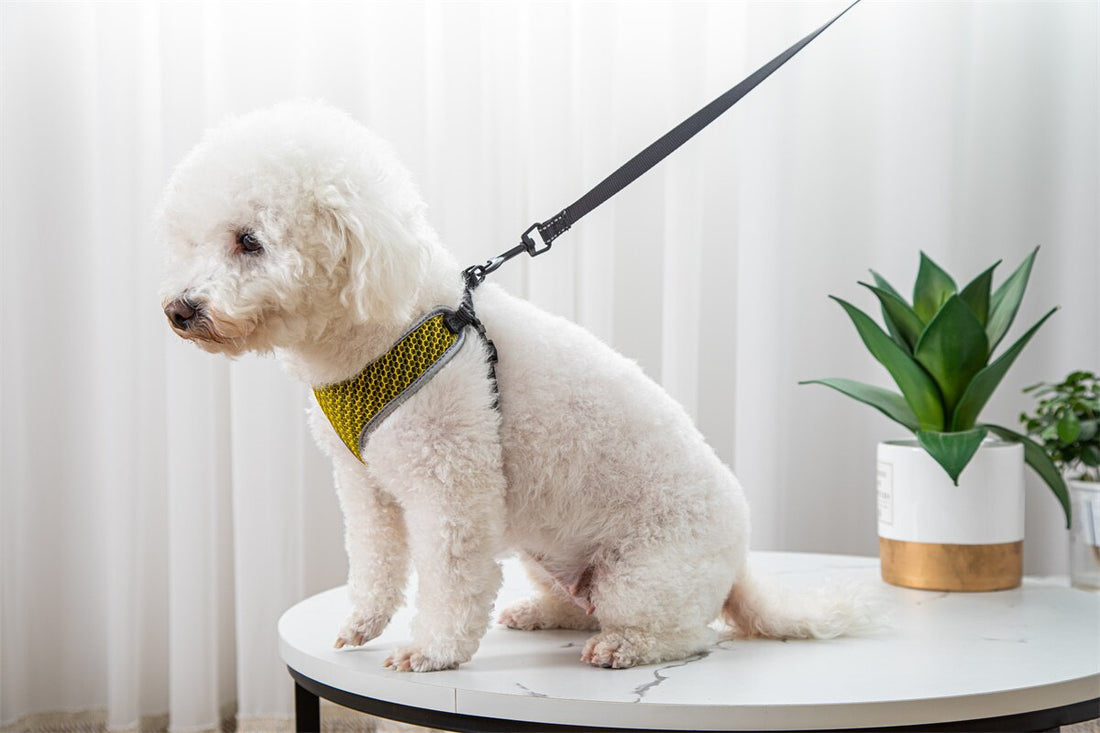 50842e5387e6ffd159645d805b12a61c