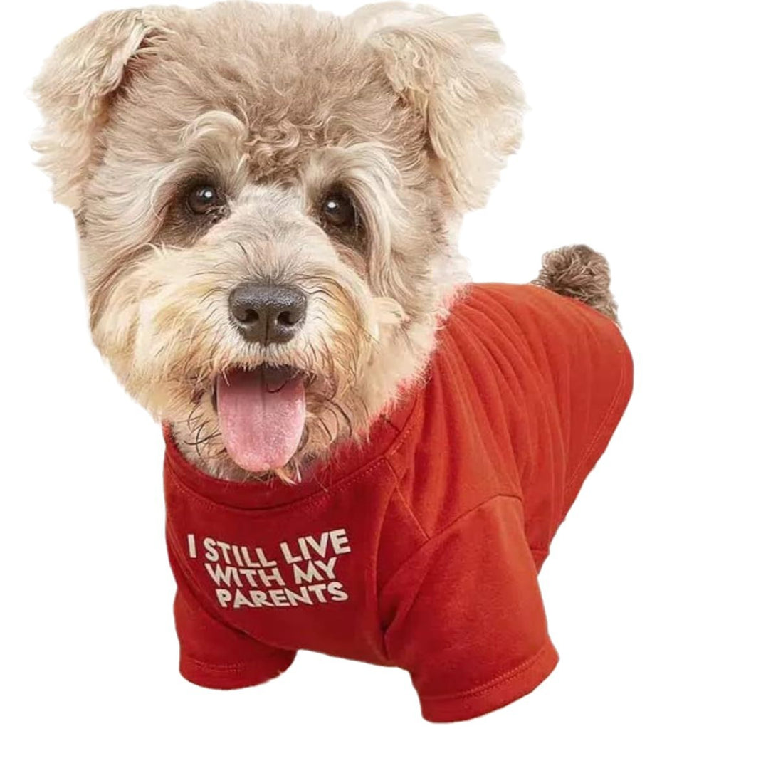 169ef82ea2b9f7159c34eba2b62204ed